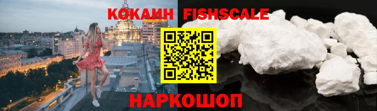 COCAIN Fish Scale  где продают наркотики  Ессентуки 