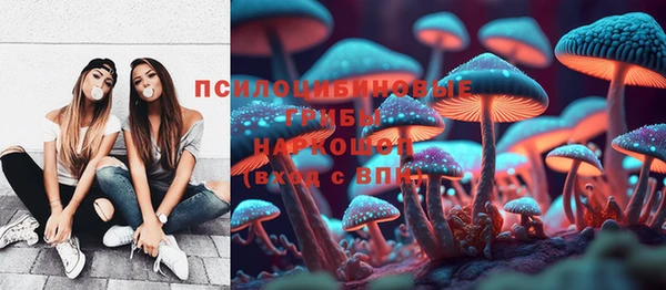 мдпв Зеленокумск
