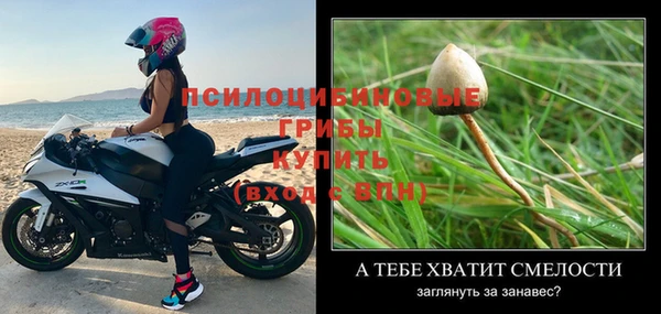 мдпв Зеленокумск
