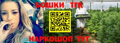 Альфа ПВП Беслан