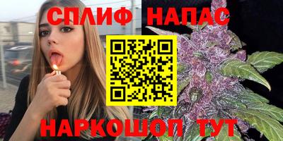 Альфа ПВП Беслан