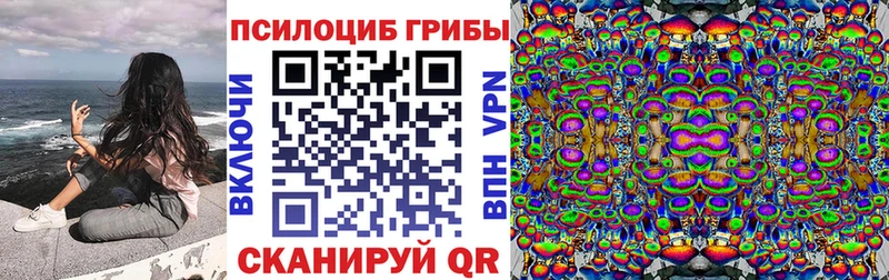 Псилоцибиновые грибы Psilocybe  Купить закладки  Ессентуки 