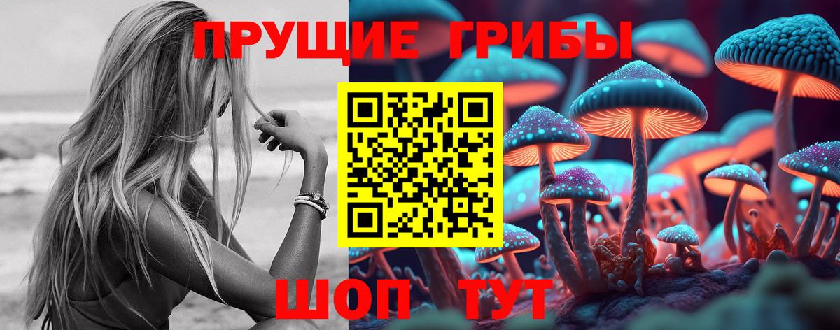 Галлюциногенные грибы Cubensis  Вход с VPN  Ессентуки  Псилоцибиновые грибы Magic Shrooms 