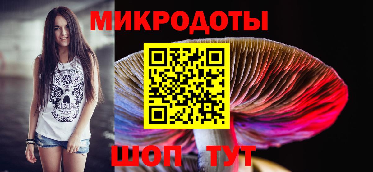 Псилоцибиновые грибы ЛСД Ессентуки