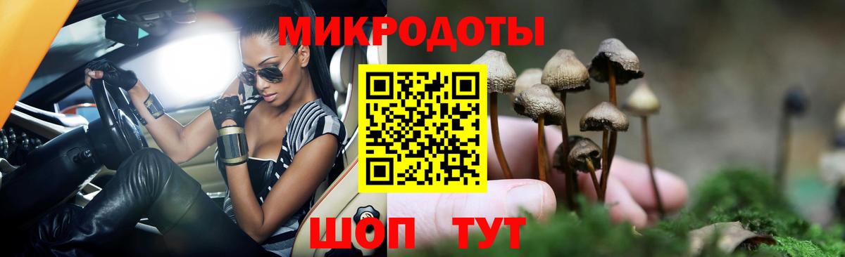 Галлюциногенные грибы Magic Shrooms  Ессентуки 